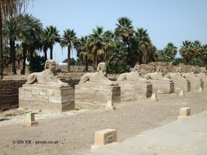 Avenue of Sphinx, Luxor Temple, Luxor