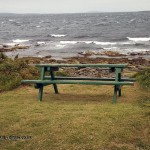 Bench by the sea at Balfour Castle