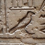 Bird hieroglyph, Temple of Horus, Edfu