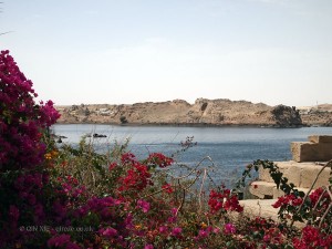 Flowers and water, Philae Temple, Lake Nasser