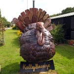 Giant turkey, Kelly Bronze, Essex