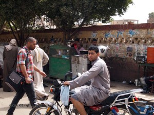 Man on moped, Edfu, Egypt