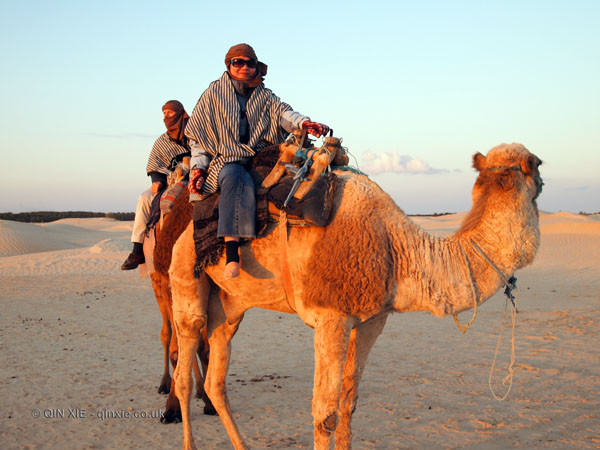 Qin Xie riding a camel, Tunisia