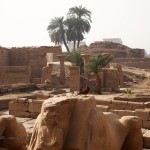 Resting bird, Karnak Temple, Luxor