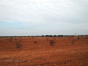Salty terrain, Tunisia