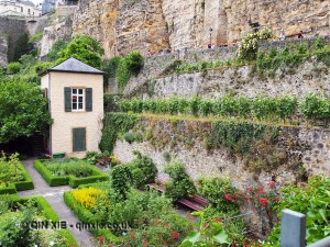 Vineyard garden, Luxembourg