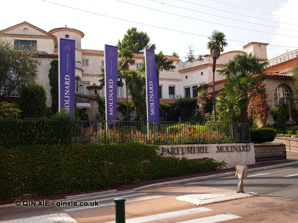 Perfume making at Molinard, Grasse