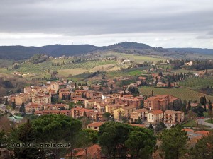 Town vineyard, San Gimignano, Italy