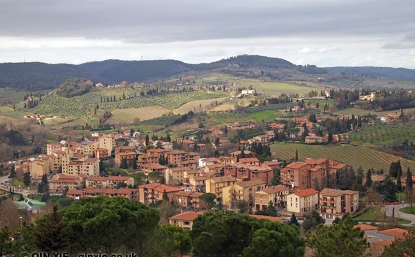 Town vineyard, San Gimignano, Italy