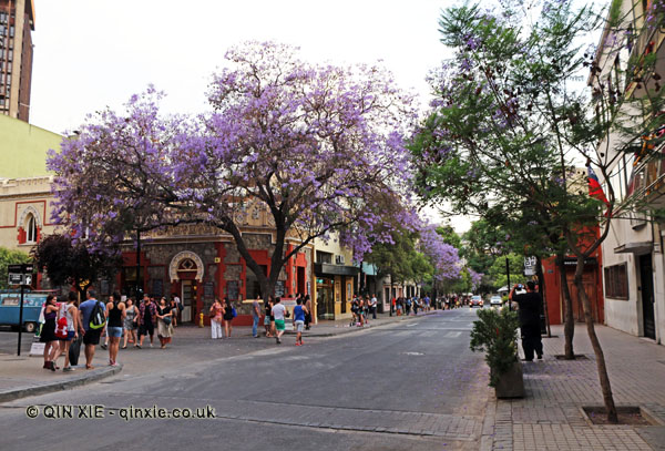 Barrio Bellavista Santiago S Open Air Gallery Culture Explorer