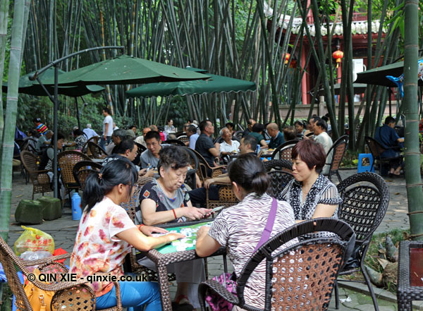 Playing mahjong in Cultural Park, Chengdu, China