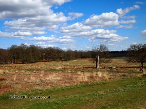 Grassland, Richmond Park