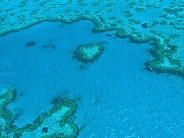 Heart reef Whitsundays copyright Qin Xie