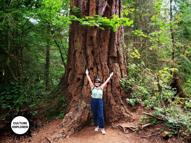 This is the best Stanley Park tour in Vancouver