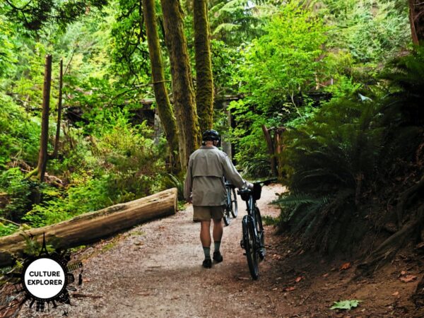 Walking bikes in Stanley Park Vancouver copyright Qin Xie
